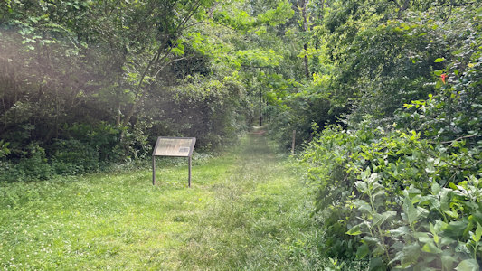 NPS Image